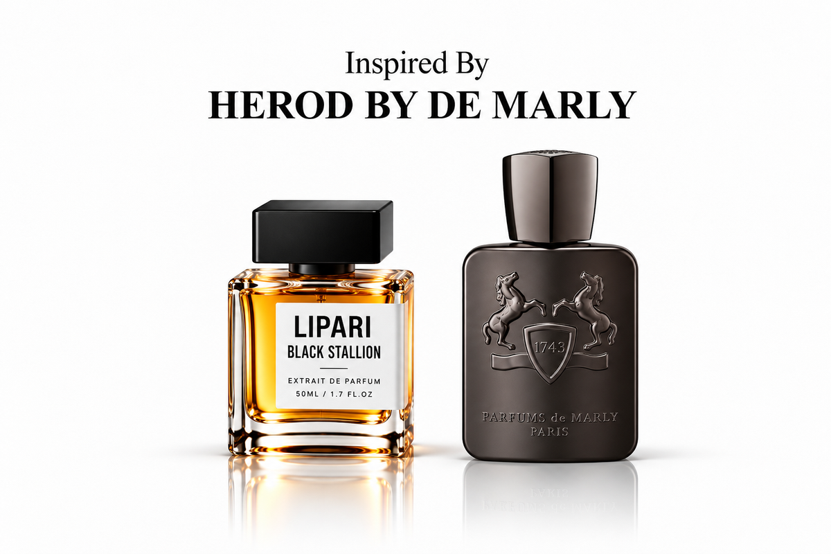 Black Stallion Inspired By Herod by De Marly
