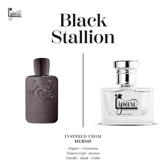 Black Stallion Inspired By Herod by De Marly