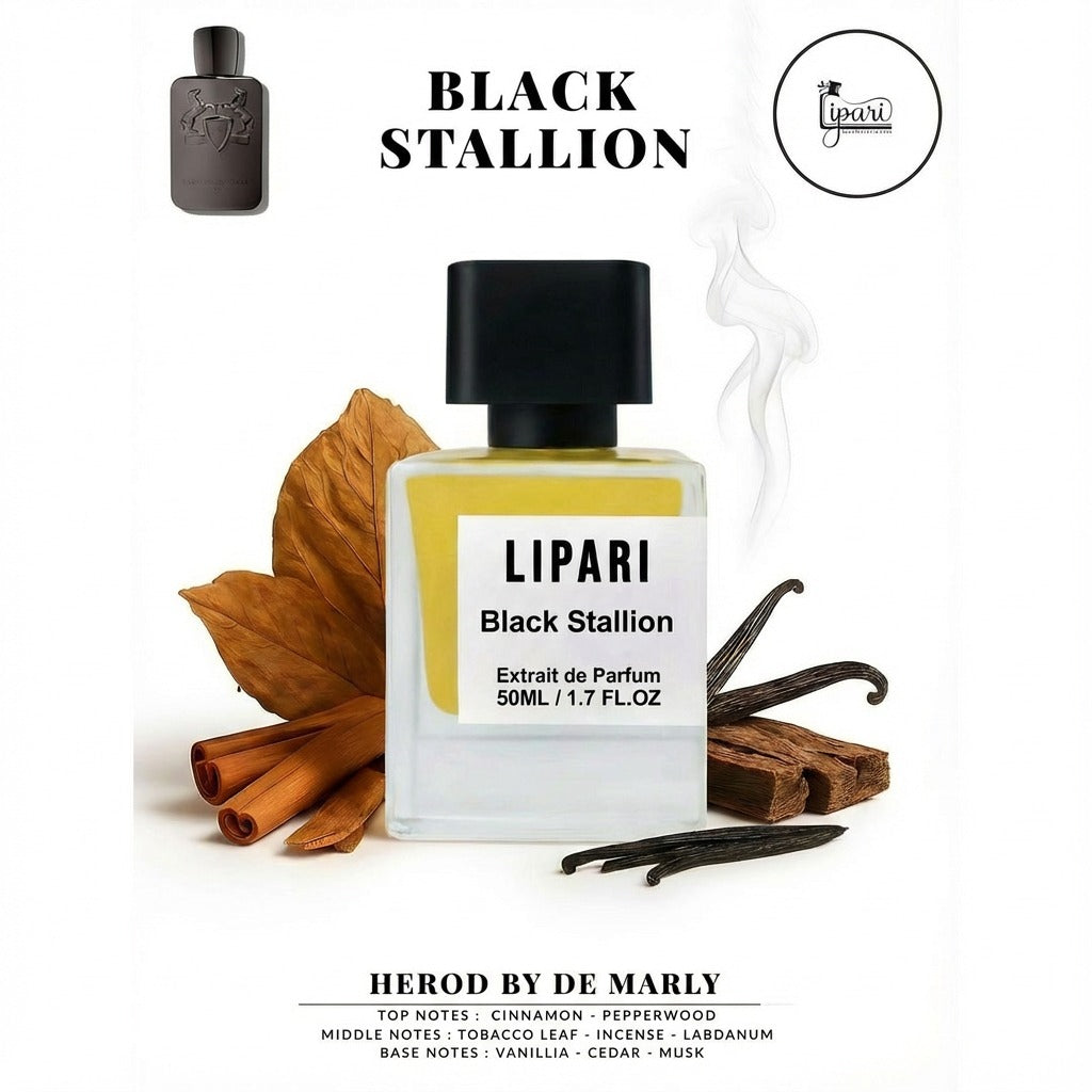 Black Stallion Inspired By Herod by De Marly