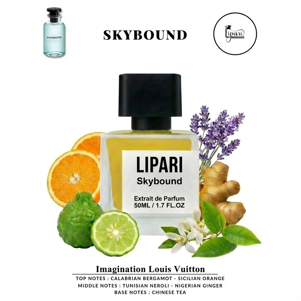 Skybound Inspired By Imagination Louis Vuitton